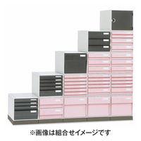 カセッターユニット2段 ブルー UA3-002 サカセ化学工業（直送品）