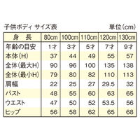 ストア・エキスプレス 子供芯地張ボディ 身長110cm（5才） 8005-3302（直送品）