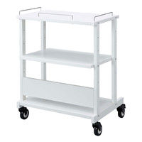 サンワサプライ マルチカート RAC-MULTCT3 幅800×奥行600×高さ1048mm 1台（直送品）