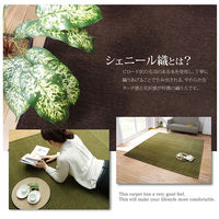 イケヒコ・コーポレーション モデルノ 折畳GY約185×185cm 1292340000000 1枚