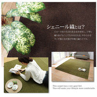 イケヒコ ラグ 洗える 無地カラー 選べる7色 『モデルノ』 アイボリー 約200×250cm 1292340146502 1枚（直送品）