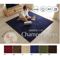 イケヒコ・コーポレーション シャンゼリゼ 平織BR約130×190cm 1340790000000 1枚