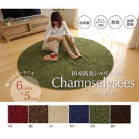 イケヒコ ラグ 円形 防炎 抗菌 防臭 防ダニ 『シャンゼリゼ』 グリーン 約180cm 丸1340790126803 1枚（直送品）