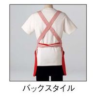 エプロン S ベージュ EA1874-0001 1着 サーヴォ（旧サンペックスイスト）（直送品）