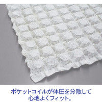 【軒先渡し】コイズミ　ポケットコイルチェア　ナチュラル／ライトグリーン G-K2-NS-1484 1脚（直送品）