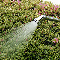 タカギ メタルシャワーS G050 1個