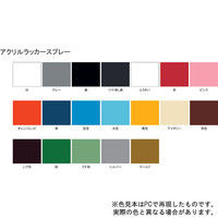 サンデーペイント アクリルラッカースプレー 緑 300ml #20019S（直送品）