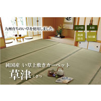 イケヒコ・コーポレーション 草津 ヒバ 江戸 四方 約江戸間8畳 1010020000000 1枚