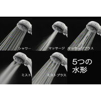 タカギ マッサージシャワピタヘッド JS436GY 1個