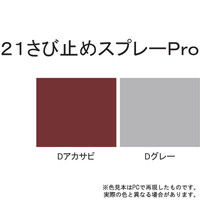 サンデーペイント 21さび止めスプレーPro Dグレー 300ml #2000JC（直送品）