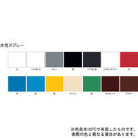 サンデーペイント 水性スプレー つや消し黒 300ml #269556（直送品）