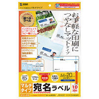 サンワサプライ マルチラベル(名刺サイズ) LB-EM09N 1冊（直送品）