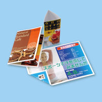 サンワサプライ カラーレーザー用フォト光沢紙・厚手 LBP-KAGNA4N 1冊（直送品）