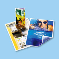 サンワサプライ カラーレーザー用半光沢紙・厚手 LBP-KCAGNB5N 1冊（直送品）