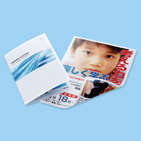サンワサプライ カラーレーザー用半光沢紙・極薄 LBP-KC2NA4N 1冊