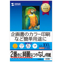 サンワサプライ インクジェットスーパーファイン用紙 つやなしマット A3 100枚 JP-EM4NA3N2 1個（直送品）