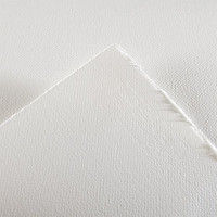 キャンソン ヘリテージ水彩紙 荒目 パッド (260×360mm) 12枚 1冊 100720019 (直送品)（直送品）