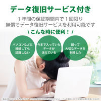 エレコム SDXCカード/データ復旧サービス付/UHS-I U1 45 MF-FS128GU11R 1個（直送品）