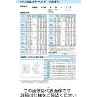 椿本チエイン サーボモータ用 TERVO減速機(ヘリカルギヤヘッド) GMTK2242F20ーL1PC 1個（直送品）