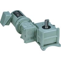 椿本チエイン ウォームパワードライブ EWMシリーズ(モータ無) EWM125T60L370Y 1個（直送品）