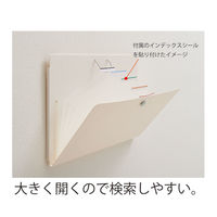 リヒトラブ ウォールドキュメントファイルA4 ホワイト A7675-0 1冊