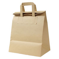 パックタケヤマ フォールドバッグ2618茶無地 XZV69996 1ケース(50枚入x4袋)（直送品）