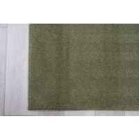 スミノエ オーダーカーペット  オーダーラグ サウンドヘイズ 2750×2050mm グリーン AS-SH-GN275205 1枚（直送品）