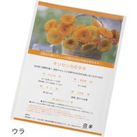 ヘッズ しあわせのタネまき-2/キンセンカ SIA-TN2 1セット（20個：10個×2パック）（直送品）