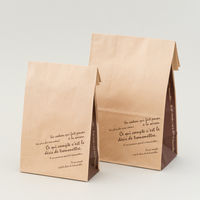 【角底袋】ヘッズ　BKFブラウンペーパーバッグー9　1パック（100枚入）BKB-9P