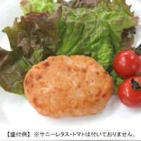 「業務用」オサベフーズ 鮭ハンバーグ 4560457470253 5袋：60g×10（直送品）