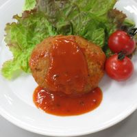 「業務用」オサベフーズ 直火焼ハンバーグ（トマトソース） 4560457470284 5ｐｃ：800g(60g×10)（直送品）