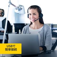 ヘッドセット EVOLVE20 SME 会議用USBヘッドセット 100-55900000-99 1個 Jabra