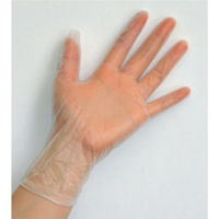 PVCグローブPLUS 粉付き L 200枚 FR-6013 1箱（200枚入）