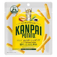 ポテトチップス おつまみ KANPAI POTATO　小袋 30g ウイスキーハイボール専用 1セット(1個×12)