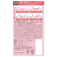 バイソン 秒速整形 なぞるだけ涙袋ガイド 4901525011310 1セット(1個×12)（直送品）