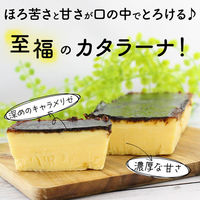 FUJI 濃厚カタラーナ プレーン 2本 1箱（直送品）