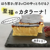 FUJI 濃厚カタラーナ プレーン 2本(2種) 1箱（直送品）