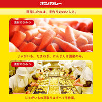 ボンカレーゴールド 辛口 180g 1セット（1個×10）大塚食品 レトルトカレー レンジ対応