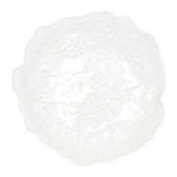 Bガラスプレート(L) クリア 1セット（1枚×2） LAKOLE/ラコレ