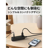 トップランド 延長コード 電源タップ 1m 2個口 USBーA+C充電付 PD対応 両面挿し TPD30-BK 1個