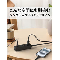 トップランド 延長コード 電源タップ 1m 2個口 USBーA+A充電付 両面挿し TPA10-BK 1個