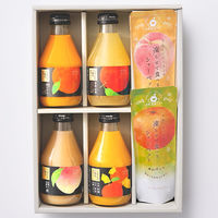 アデリー 【お中元】ホシフルーツ ご馳走果実ジュース&凍らせて食べるシャーベット HFA-01C 1箱（直送品）