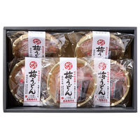 ふみこ農園 【お中元】紀州 丸ざる梅うどん MZU-5 1箱（直送品）