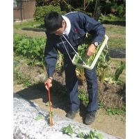 サンエー さすけ APー02 1個（直送品）