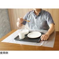 小野商事 食事用エプロン 使い捨て 50枚入 WS6640 1箱(50枚) 67-6609-85（直送品）