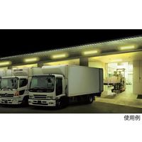 大成ファインケミカル マジックオプトロンLED MOL-A1 1台 64-5226-43（直送品）