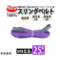 アズワン スリングベルト 両端アイ形 ベルト幅:25mm 全長:6m 67-2186-65 1本（直送品）