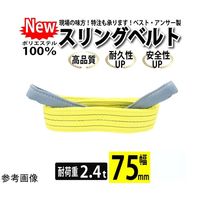 アズワン スリングベルト 両端アイ形 ベルト幅:75mm 全長:5m 67-2186-85 1本（直送品）
