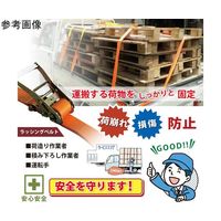 アズワン ラッシングベルト フックタイプ 固定側:1m 巻側:6m 67-2186-97 1本（直送品）