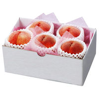 フルーツワールド 【お中元】山梨の桃[4~5玉] fw-ym1.1kg 1箱（直送品）